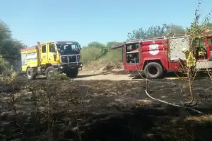 Siguen los incendios: brigadistas trabajaron para sofocar siniestros en Valle Viejo y Capayn'