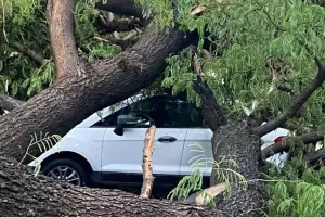 Terrible:  temporal en Santiago del Estero caus� la voladura de techos y derrib� �rboles