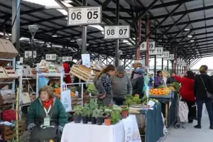 Boqueteros roban otra vez en el Mercado de Abasto