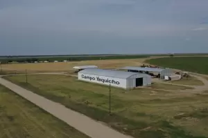 El agro argentino pierde competitividad: los costos en dlares superan al promedio regional