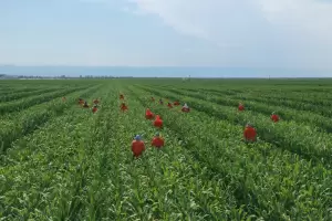 En febrero, la actividad agroindustrial registr una disminucin del 1%, y afirman que se retomar la tendencia positiva