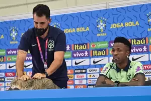 Brasil qued fuera del Mundial y en las redes sociales afirman que es por la "maldicin del gato"