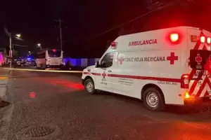 Tr�gico accidente: un nene muri� despu�s de sacar la cabeza por la ventana de un colectivo y chocarse un poste