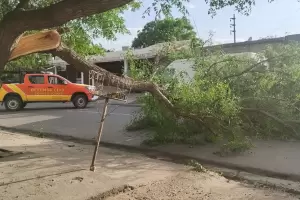 Temporal dej sin servicio elctrico a gran parte de la provincia: malestar de los usuarios con Ec Sapem