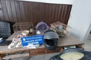 Robaron jaulas y aves y terminaron detenidos