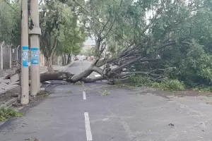Trabajan para restablecer los servicios esenciales tras el temporal