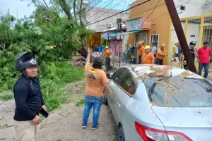 Tras el temporal siguen las tareas en el sistema elctrico: confirmaron que se realizan a pesar del asueto