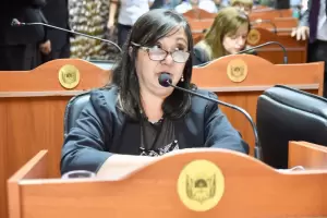 Destacan el compromiso de Diputados en la implementacin de la ley Micaela