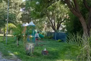 Fin del ciclo 2022: trabajos de reparacin, limpieza y mantenimiento en diversos establecimientos