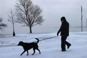 Cinco muertos y un milln de personas sin luz en medio de una fuerte tormenta invernal en Estados Unidos