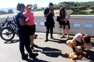 Policas rescataron a un perrito que se ahogaba en el dique El Jumeal