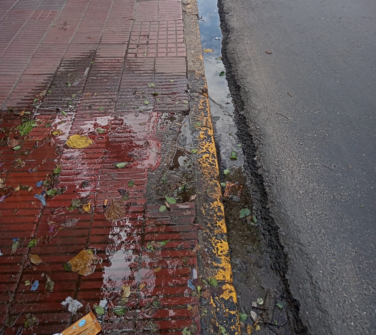 Malestar: pérdida de agua en pleno centro - La Unión Digital