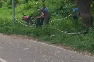 Fray Mamerto Esqui: Un joven motociclista falleci al salir de la ruta y chocar contra un algarrobo