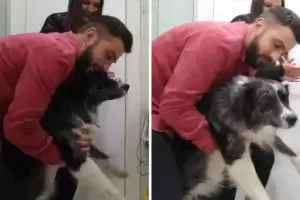 Dos hermanos contaron su estrategia para evitar que su perro sufra la pirotecnia