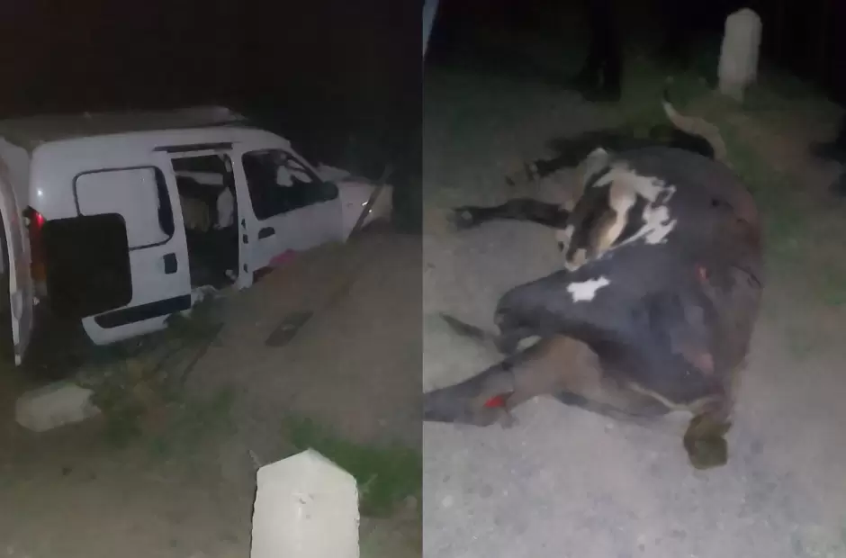 Siniestro vial por animales sueltos en la Ruta 46.