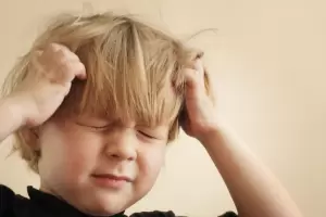 Ciencia argentina aplicada a un problema: los piojos