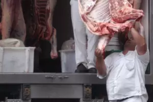 Se mantiene la comercializacin de carne con media res