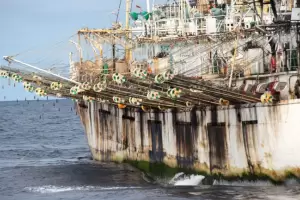 Pesqueros chinos apagaron los sistemas de rastreo para depredar las aguas argentinas