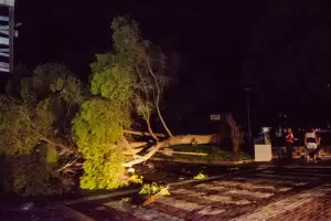 El temporal dej� sin servicio de energ�a el�ctrica a gran parte del Valle Central