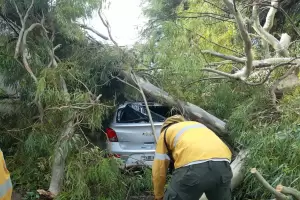 Las imgenes del temporal: sin evacuados pero con daos materiales
