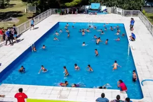 Docentes de Colonias de Vacaciones detectaron y denunciaron casos de violencia infantil