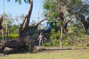 Siguen las labores de limpieza en el CAPE y la Plaza 25 de Mayo