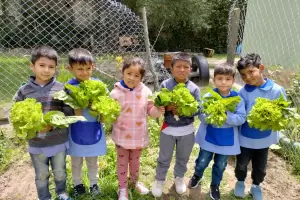 Tras el receso estival, realizaron mltiples actividades para los jardines de infantes de perodo especial