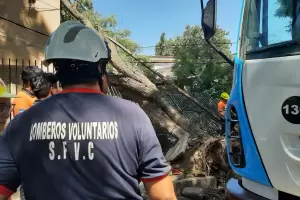 Ambiente analiza plan de deforestacin tras el temporal
