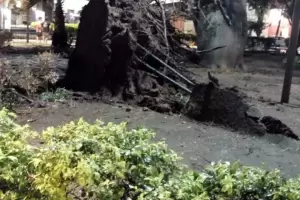 La tormenta que azot a La Rioja ingres a la ciudad de Chumbicha