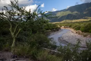 Domingo caluroso con mximas de 39 y, lluvia?