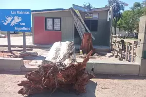Tras el temporal: sigue la remocin de rboles pero quedan la basura y las ramas