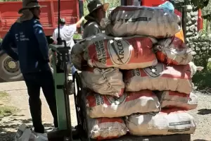 Lanzan la cosecha del membrillo con la apuesta a ms puestos de trabajo