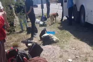 Santa Mara: secuestran LSD y marihuana en un operativo de trnsito