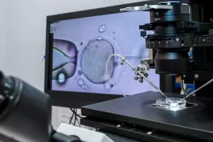 Sin precedentes: Por error mdico, una pareja tuvo un hijo de un embrin equivocado