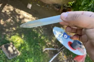 Dengue: cronograma semanal y alerta por el impacto de las lluvias