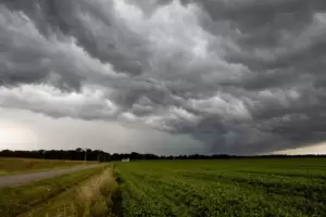 Una buena: las lluvias mejoraron las posibilidades de cosecha en las zonas afectadas por la sequa