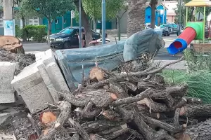 Plaza de La Chacarita tras el temporal: ramas, troncos y la estatua decapitada en el piso