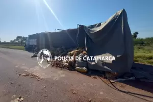 Recreo: volc camin y perdi su carga