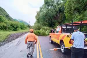 Por las lluvias, cay rbol sobre Ruta n 4
