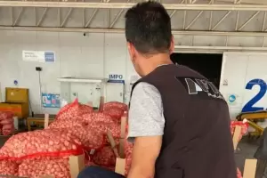 Una falsa empresa fue denunciada por la Aduana: Export ajo por $137 millones, pero no tena empleados