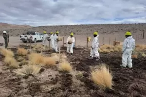 Medioambiente y Livent ejecutan una restauracin ecolgica de la Vega del Rio Trapiche en Antofagasta de la Sierra