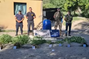 Secuestran marihuana en Capital y Pomn