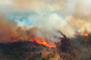 El Gobierno de Chubut sospecha que el incendio forestal en el parque Los Alerces fue intencional