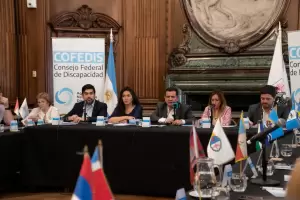 Convocatoria pblica a elecciones de representantes de ONGs para integrar el Consejo Federal de Discapacidad