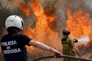 Focos de incendio forestales en siete provincias: bomberos trabajan para contener las llamas