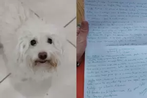 Una perra fue abandonada junto a una carta que explica el doloroso motivo