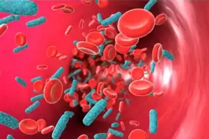 Nuevos avances de cientficos argentinos contra el cncer: Se comenzar a probar una protena clave en pacientes