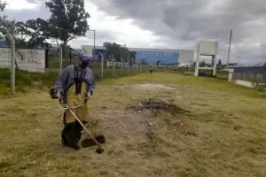 Siguen los trabajos de desmalezamiento, limpieza y reparaciones en edificios escolares