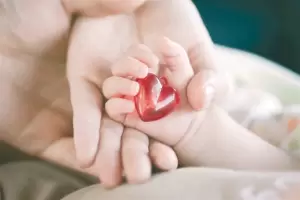 D�a Mundial de las Cardiopat�as Cong�nitas: control fetal como base para prevenir