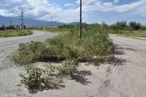 Vecinos de Valle Chico reclaman limpieza y desmalezamiento: "Solo limpian hasta la rotonda"